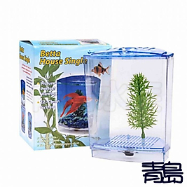 VENY'S BETTA (BETA) KABI TEKLİ