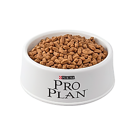 Purina Pro Plan Somonlu Açık Kısırlaştırılmış Kedi Maması