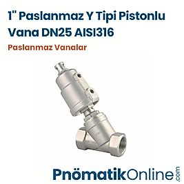 1" Paslanmaz Pnömatik Pistonlu Vana DN25