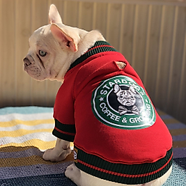 Köpek Sweatshirt Stardogs College Ceket Köpek Kıyafeti Std104