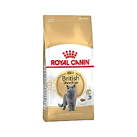 Royal Canin British Shorthair Yetişkin Kedi Maması (4 kg)