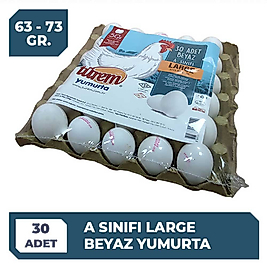 Türem L Boy Yumurta 30 lu