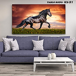 MERCAN MOBİLYA VE AKSESUAR ,70*130  AT  KANVAS KABLO