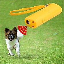 Bıng Köpek Savar