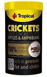 Tropical Crickets Kurutulmuş Çekirge 250 ML