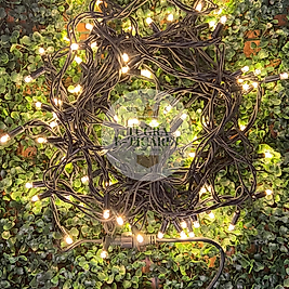 Dış Mekan IP65 İp LED 10 Metre Siyah Kablo Gün Işığı Işık Dekor Aydınlatma