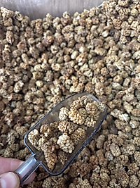 Kuru dut 250g