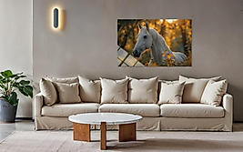 Beyaz Atlı Cam Tablo