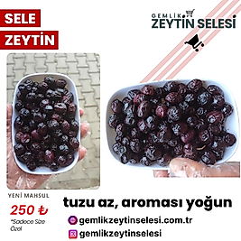 Sele Zeytin - Tuzu az, aroması yoğun