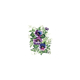 Gülsün Ülkü 17*25 G-16