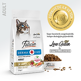 Felicia 2 Kg Kolajenli Somonlu Az Tahıllı Yetişkin Kedi Maması HypoAllergenic Kedi Maması