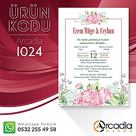 Arcadia 1024