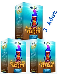 Esila 3 Adet Esila Fantastik Dörtlü Yaz Çayı 135 Süzen Poşet