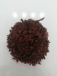 Topuz tokası