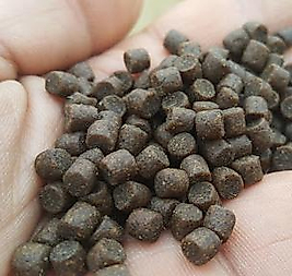 Alabalık Çipura Levrek Avı Palet Yem 0.5 cm 100 gr