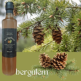 Doğal Çam Kozalağı Sirkesi 500 ml