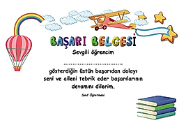 BAŞARI BELGESİ