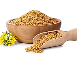 Fırsat Kapısı SARI HARDAL 150 gr