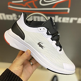 Lacostee🐊