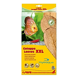 Sera Catappa Yaprağı XXL 32 cm (10 adet)