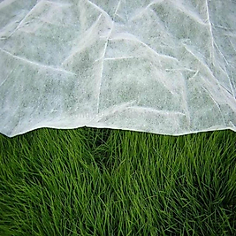 Agril 19gr (Don Kırağı Örtüsü) 160cm X 500mt