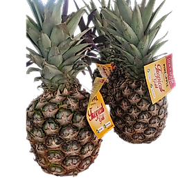 ANANAS