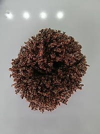 Topuz tokası