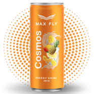Max Fly Enerji İçeceği Cosmos 250 mL 24 lü