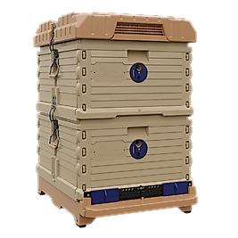 Ergo Kovan 2 Katlı (LN-24 TR) Çerçevesiz