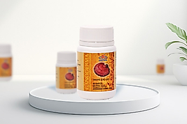 Ganoderma Lucidum Kapsül 90 x 350 MG