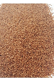 Susam Sarı 250 gram