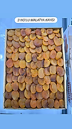 3 NO'LU MALATYA KAYSI (KUTU İÇİ=5 KG)