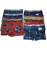 KİDS BOXER ERKEK ÇOCUK 4-5 YAŞ ADET FİYATI
