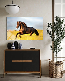 Kahverengi At Cam Tablo