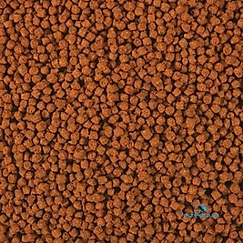 Omega One Cichlid Select Pellets 100 Gr Kovadan Bölme