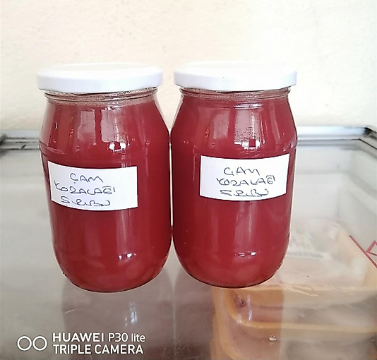 Çam Kozalagi Şurubu  500 gr