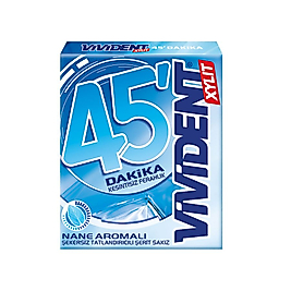 VİVİDENT 45 DK SAKIZ NANE 33 GR