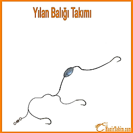 Yılan Balığı Takımı