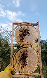 Karakovan Bal 1 Kg