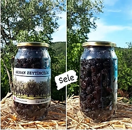 Gemlik iri Sele Zeytin 1000cc