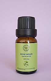 DEFNE YAPRAĞI (Laurus nobilis)