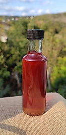 SarıKantaronyağı 100ml