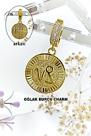 Oğlak Burcu Zirkon Taşlı Çelik Charm