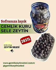 Gemlik Kuru Sele Zeytin