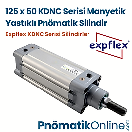 Expflex KDNC 125x50-S Manyetik Yastıklı Pnömatik Silindir