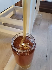 Hayıt Balı 1 Kg