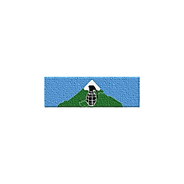 Komanda Hizmet Şerit Rozeti