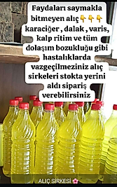 Alic sirkesi