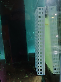 Melek, Discus vb. Üreme zemin Yumurta Saklama