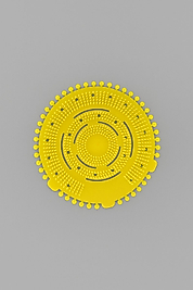 Pisuvar kokusu (Limon)